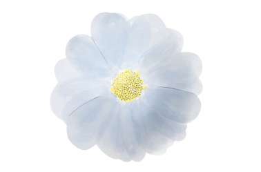 8 Petites assiettes - Fleurs de printemps 