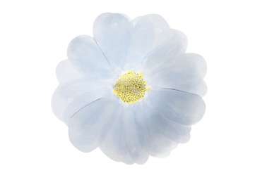 8 Petites assiettes - Fleurs de printemps 