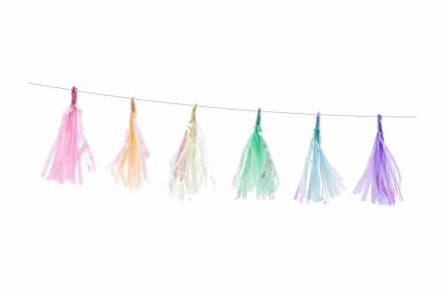 Kit de guirlande tassel couleurs irisé