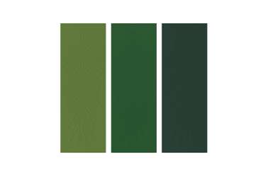 découpe feuilles tropicales de la jungle