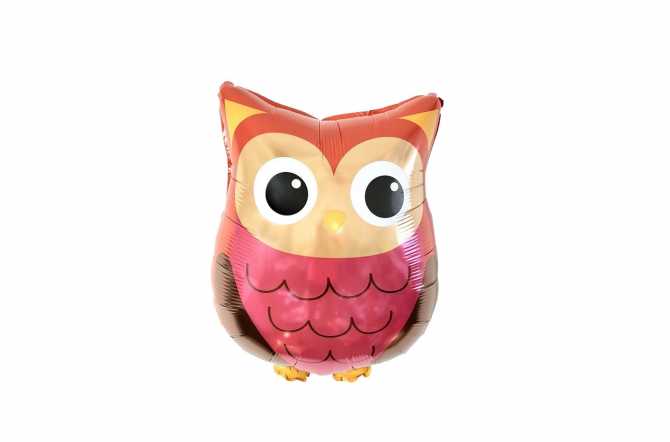 Un ballon hibou des bois - Ballons hélium animaux