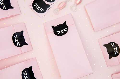 sac cadeaux chat