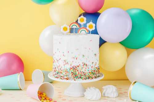 10 Ballons de baudruche - blanc pur pastel