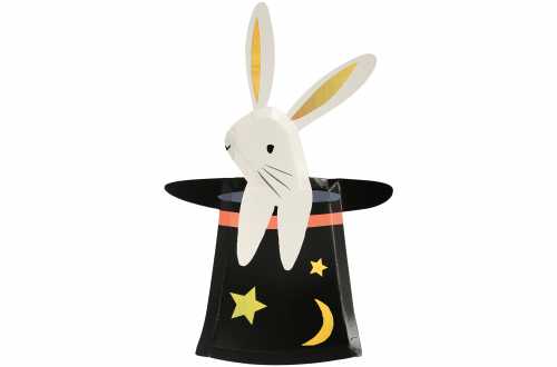 Magicien et Lapin dans Chapeau Photobooth Accessoires