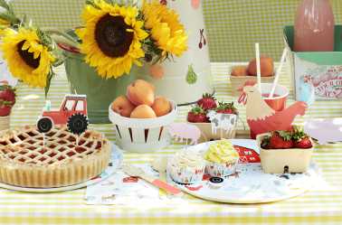 anniversaire animaux de la ferme