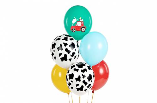 Assortiment ballon Ferme