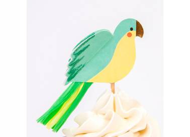 Perroquet anniversaire