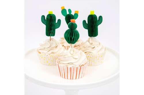 caissette anniversaire cactus