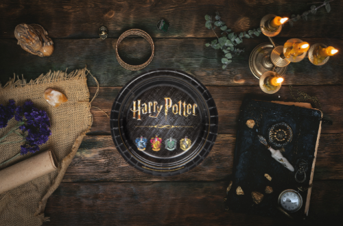 assiettes en carton Harry Potter posées sur une table en bois de magie.