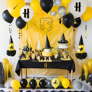 Anniversaire Harry Potter